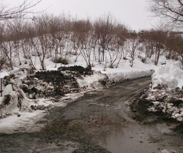 除雪開始！