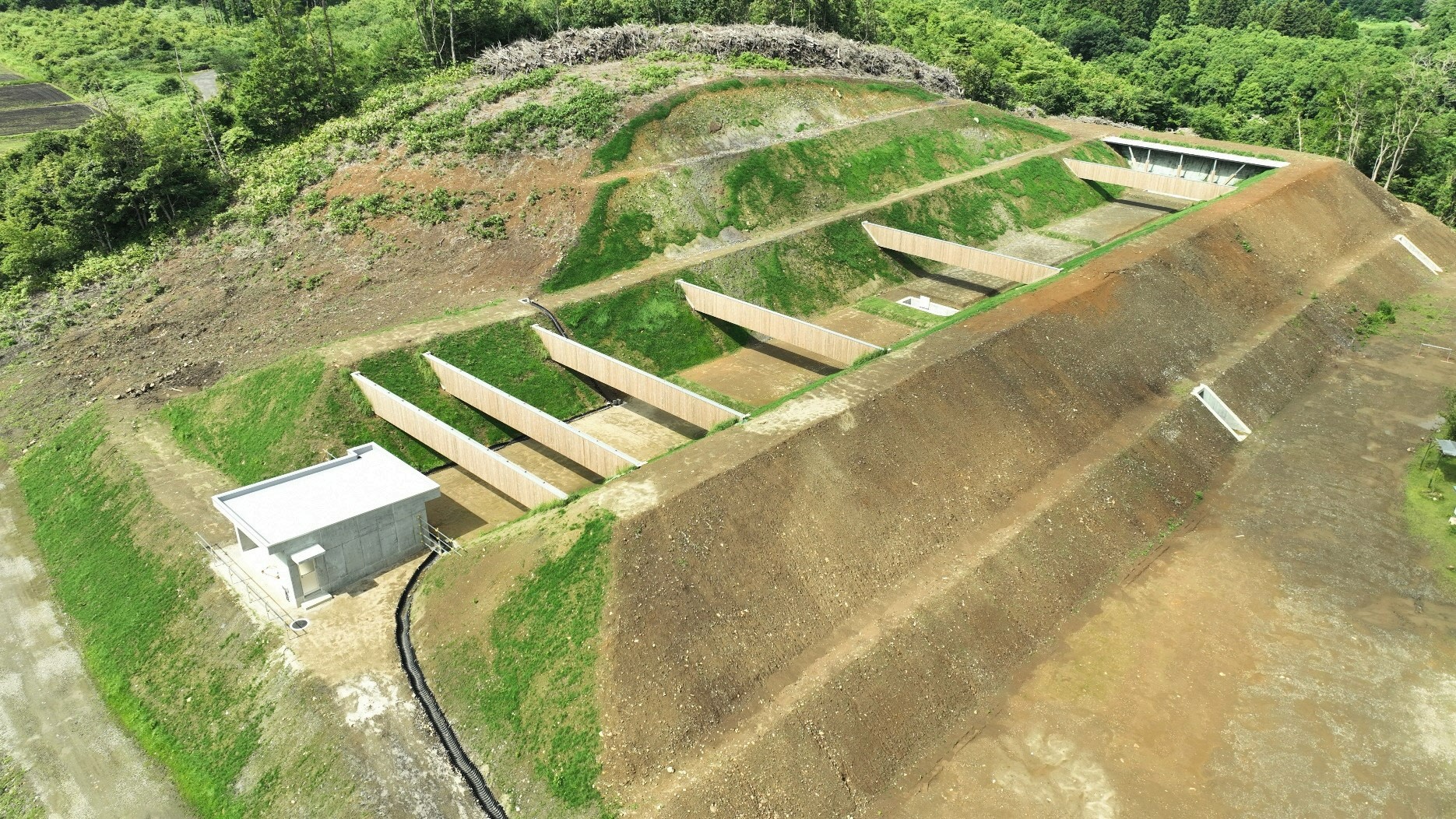 2026は4月5日オープン予定。