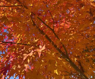 第8回シニア射撃会（今季最終戦）